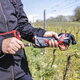 legatrice per vigneto elettrica / automatica / user-friendly / per viticoltura