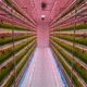 container-fattoria per erba / per foraggio