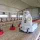 robot agricolo multiuso / autonomo / per allevamento avicolo