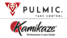 Pulmic & Kamikaze