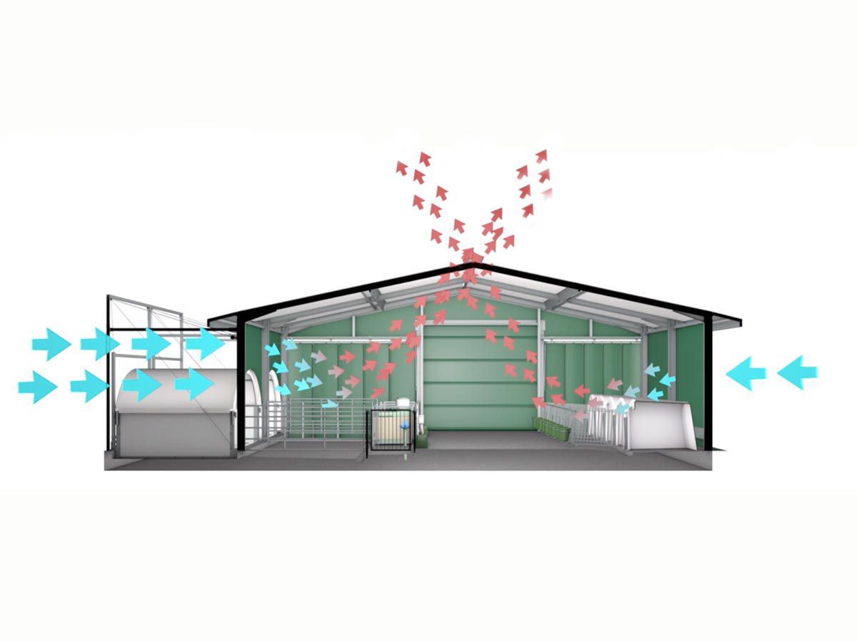 子牛用家畜小屋 - AGROTEL GmbH