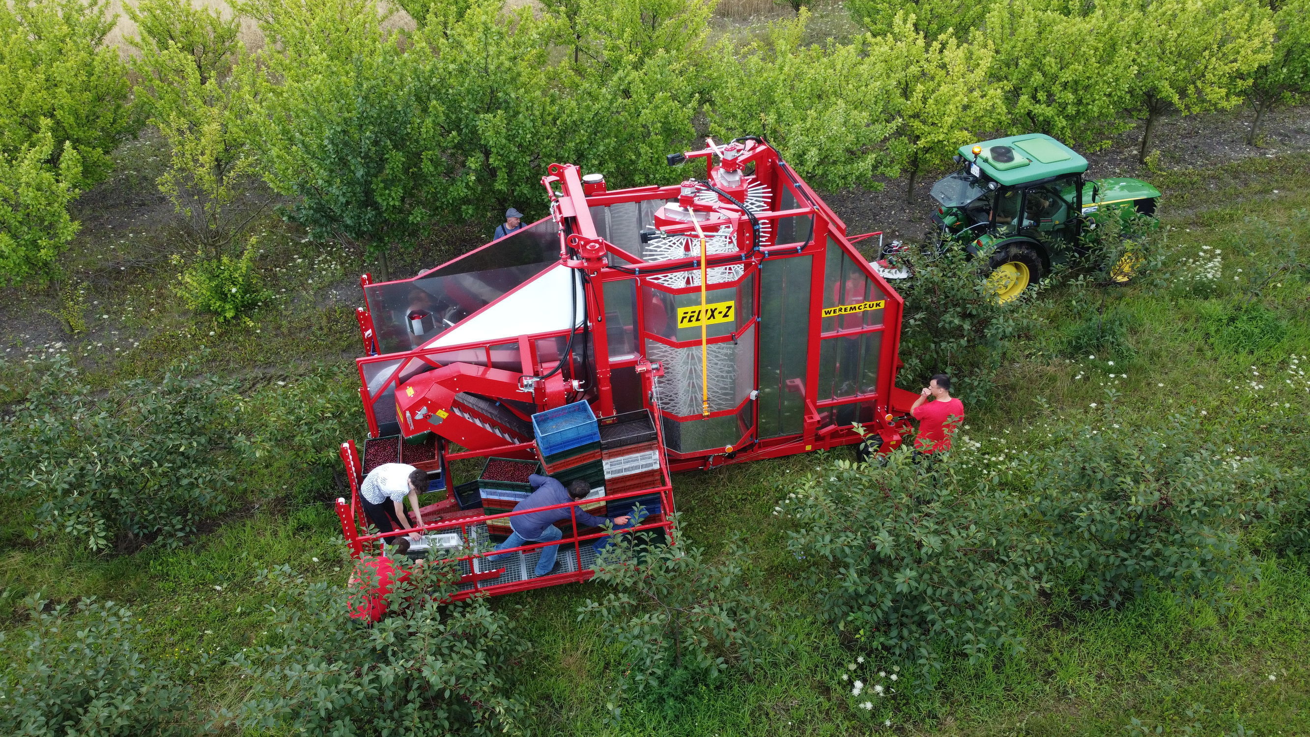 チェリー用収穫機 - FELIX Z - Weremczuk FMR Sp. z o.o. - オリーブ