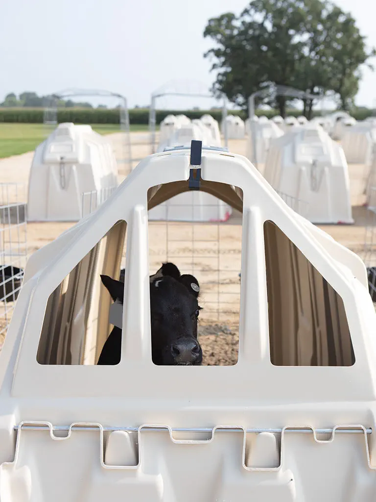家畜小屋 - 24 | 74 (Pro II / Deluxe II) - Calf-Tel - L.T. Hampel