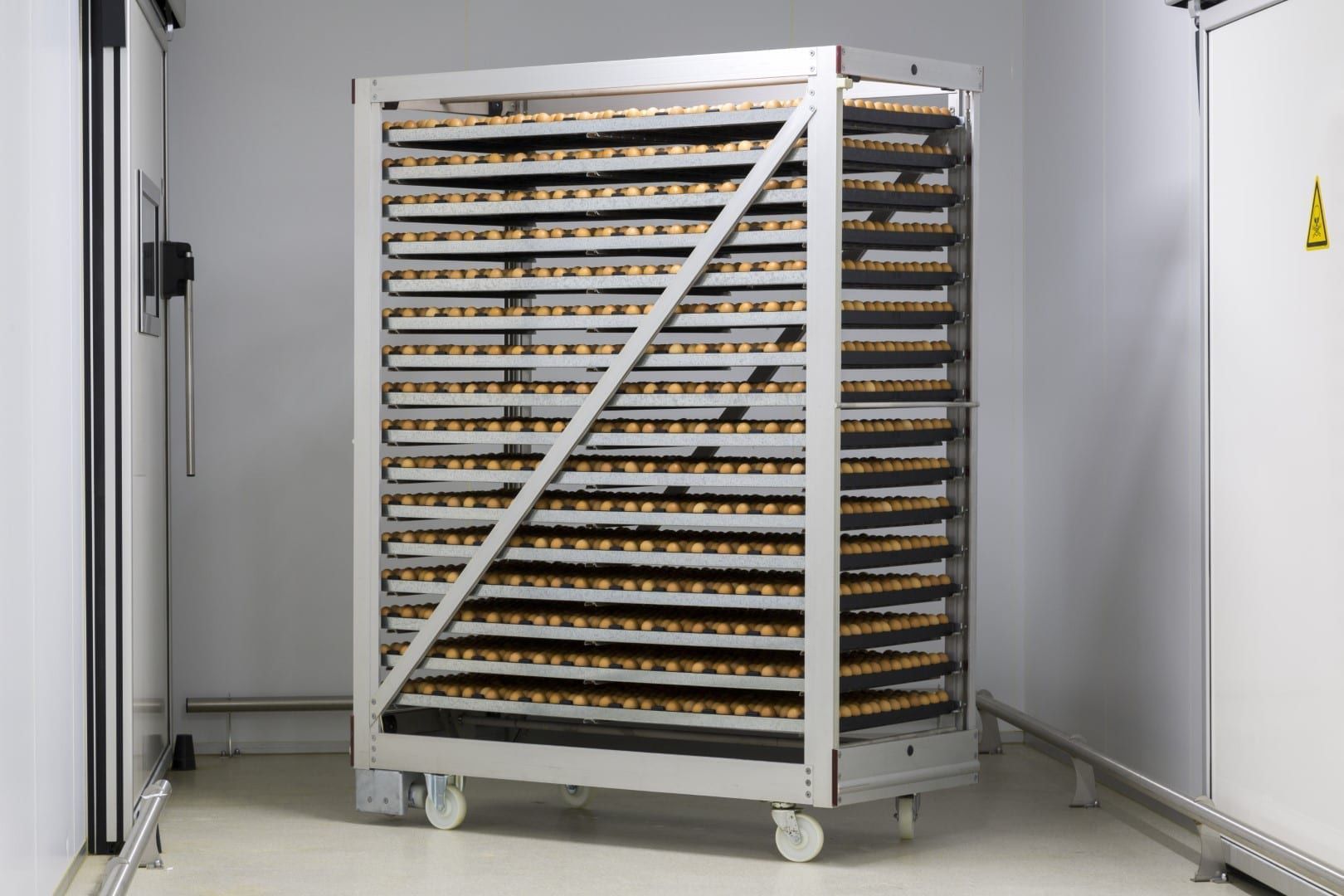 孵化用鶏卵用クレート - HatchTech B.V. - 鶏卵