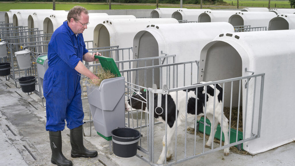 家畜小屋 - Comfort - VDK Products BV - 子牛用 / 単独 / プラスチック製