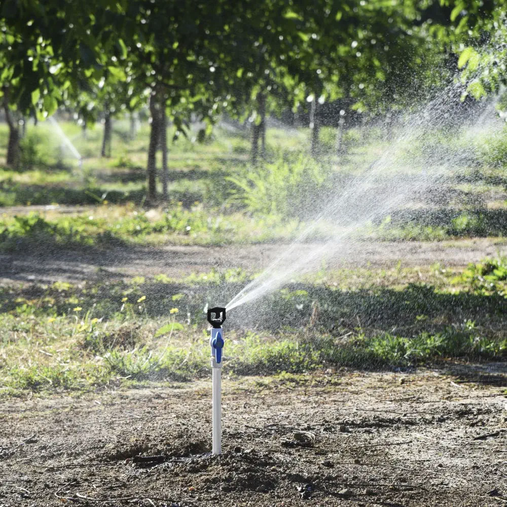 インパクトスプリンクラー Lfx600 Rain Bird Agri Products Division 自動 低流量