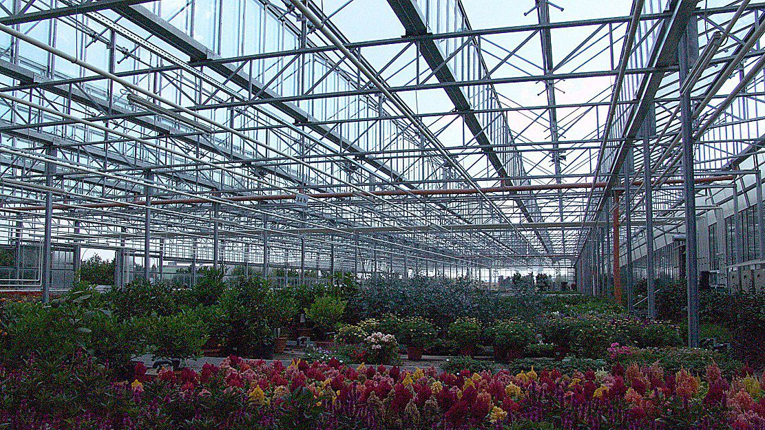 あた様見積もり用、温室フレーム、扉付き 916nQvSGO2L._AC_UF350,