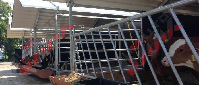 家畜小屋 - ЕКО - ОN - Limk Ltd. - 子牛用 / 共用 / スチール製