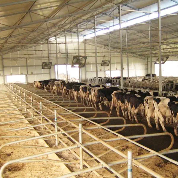 牛用キュービクル Hengyin Livestock