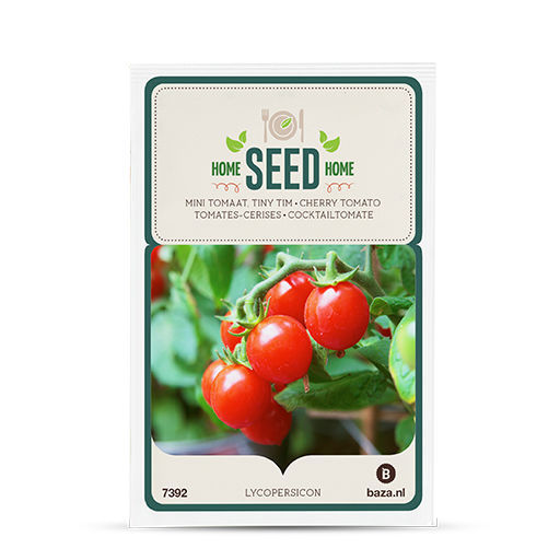 トマトの種子 赤 - 707392 - BAZA Seeds Holland b.v. - ハウス