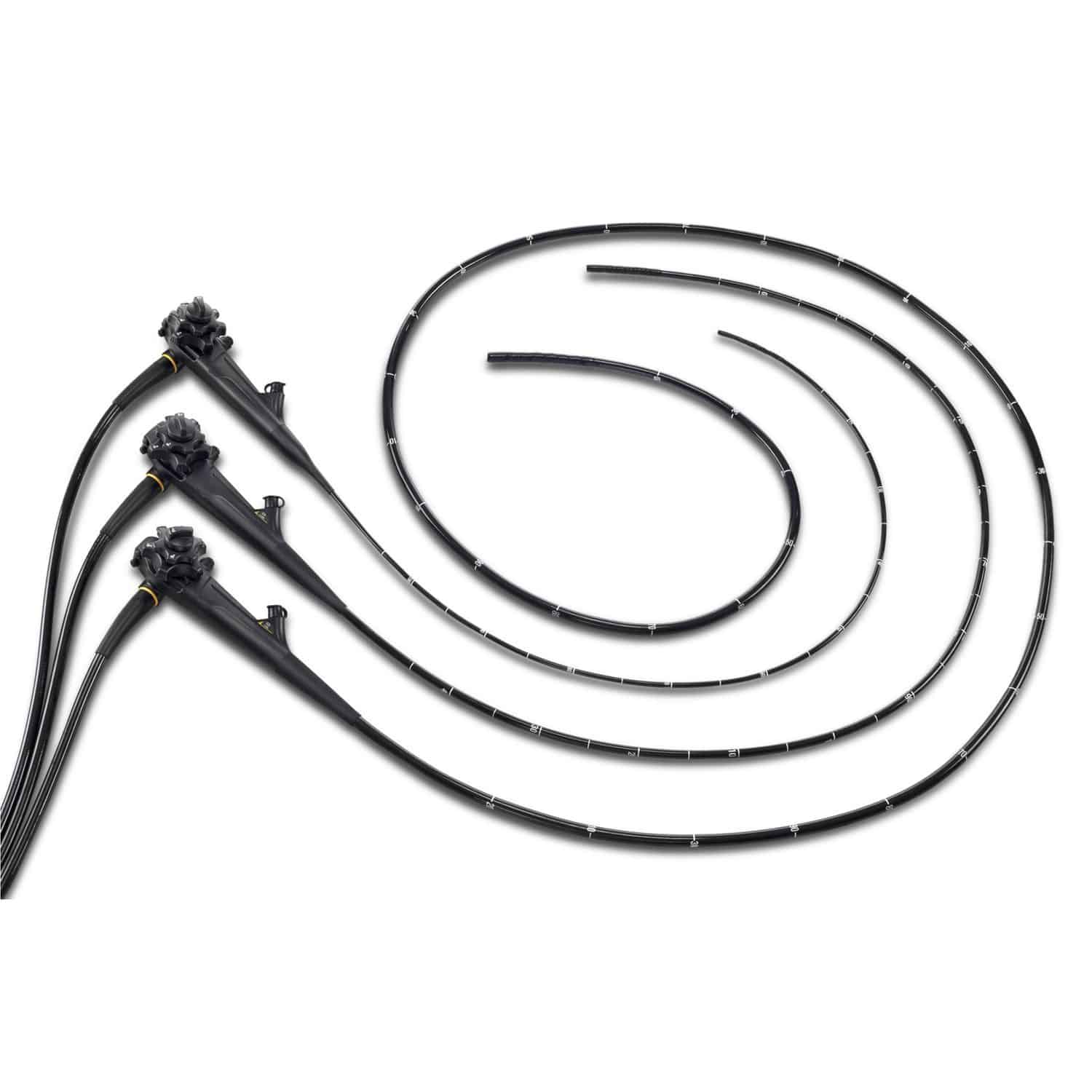 【極美品】小動物の内視鏡学 192756-19509053.jpg