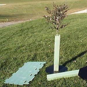 果樹園用植生保護管