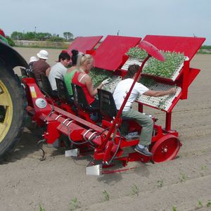 野菜用移植機