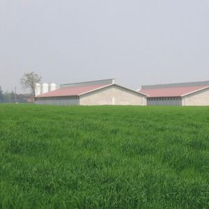 家畜小屋