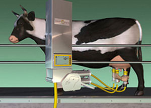 牛用搾乳器 - MULTILACTOR® - Siliconform - 電動式 / 定置型