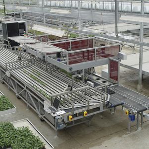 鉢植えの植物選別機 1