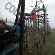 トラクター設置式プレ剪定機 1