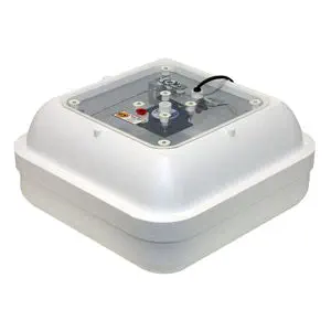 孵卵器 181204-11454383.webp