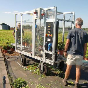 植物トレー用剪定機