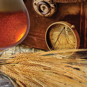 冬オオムギの種子