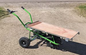 電動式手押し車 1