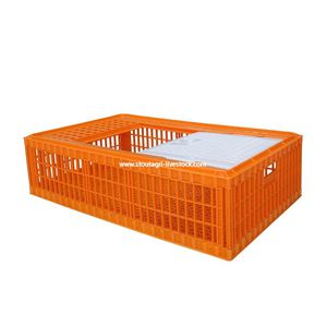 トリ輸送用ボックス