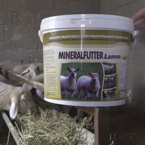 動物用飼料サプリメント