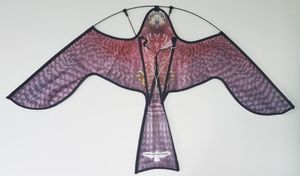 ビジュアル鳥よけ 1