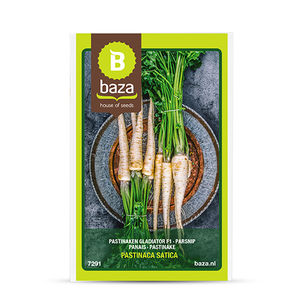 早生パースニップの種子