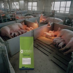 動物用飼料サプリメント