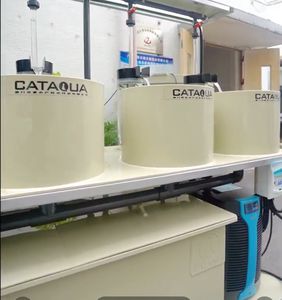 ナマズ目用魚卵孵化器