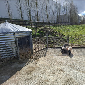 家畜小屋