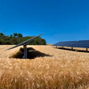 すじまき作物用営農型太陽光発電シェード 1
