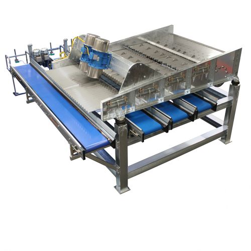 検査用選別機 - L 200 - Allround Vegetable Processing B.V.