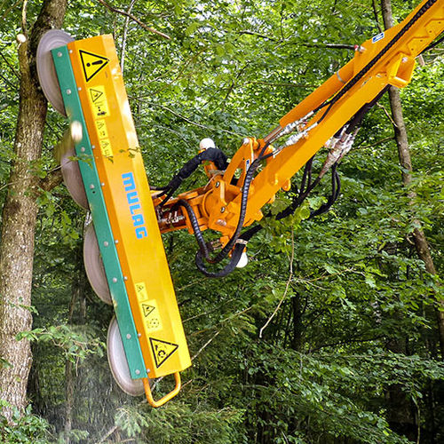 果樹園用剪定機 - FSG 2000 - MULAG Fahrzeugwerk Heinz Wössner GmbH & Co. KG - 車載型 / 油圧式 / ディスク式