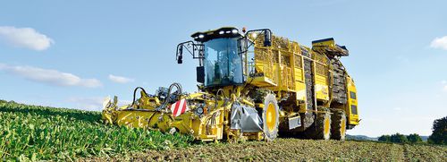 テンサイ収穫機 - Tiger 5 - ROPA Fahrzeug- und Maschinenbau GmbH - 自走式
