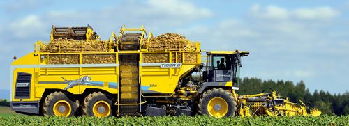 テンサイ収穫機 - TIGER 6S - ROPA Fahrzeug- und Maschinenbau GmbH - 自走式 / 1列