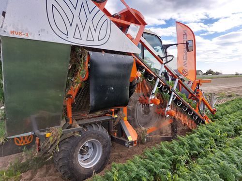 野菜用収穫機 - WERINGEN RVS-1 - Weremczuk FMR Sp. z o.o. - トラクター設置式 / 1列 / トップリフト