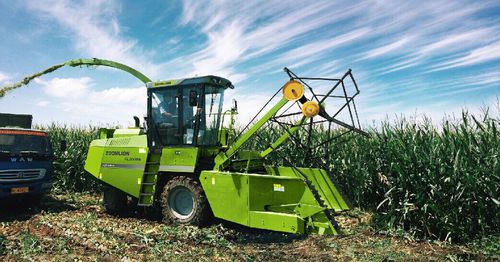 自走式フォーレージハーベスタ - 4QZ-3000A - Zoomlion Heavy Machinery Co., Ltd.