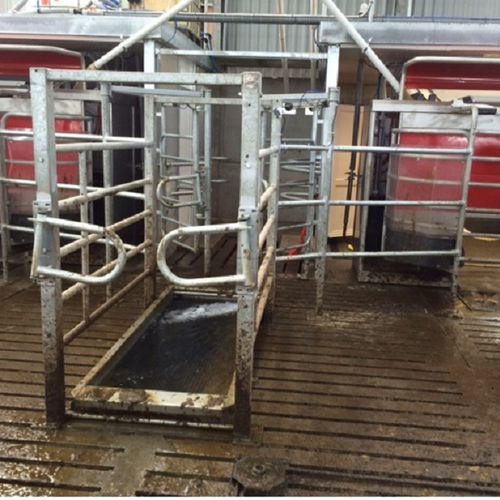 畜舎用足洗い容器 - DP Agri Ltd.