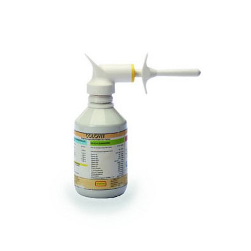 豚用初乳代用乳 - COLOVIT - Hofmann Nutrition AG HOKOVIT - 液体