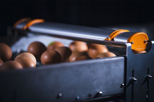 卵計数機 - EggXact - Hotraco Agri BV