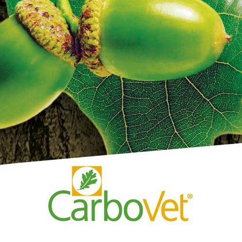 うま味調味料飼料添加物 - Carbovet® - Pancosma - 家禽用 / 豚用 / ヒツジ用
