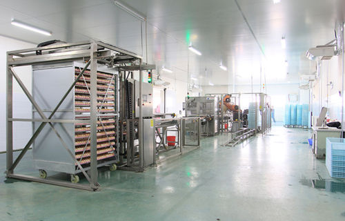 自動検卵器 - Qingdao Xingyi Electronic Equipment Co., Ltd.
