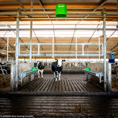 家畜監視システム - Autolift - Spinder Dairy Housing Concepts - 動物行動 / ワイヤレス