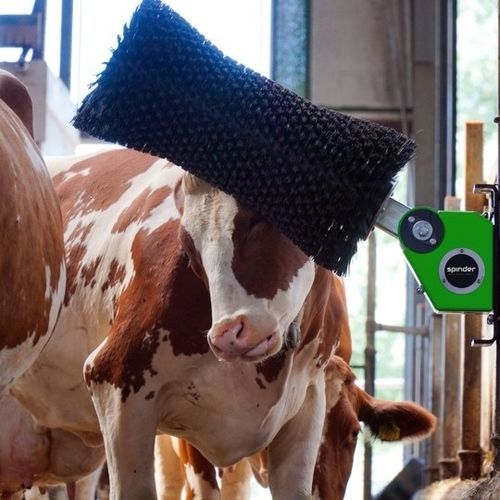 家畜ブラシ - Nirvana - Spinder Dairy Housing Concepts - 回転 / 乳牛用 / 横型