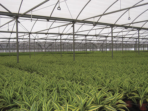 固定型スプリンクラー - SUPER SPRAY	 - Senninger Irrigation, Inc.