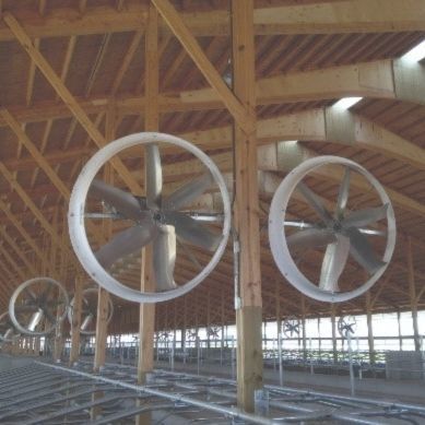 畜舎用扇風機 - Blast - Artex Barn Solutions LTD. - 再循環 / 天井 / 吊り下げ式