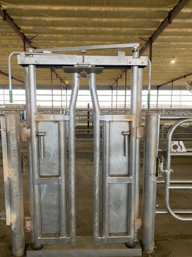 乳牛用ヘッドゲート - Artex Barn Solutions LTD. - 手動締結