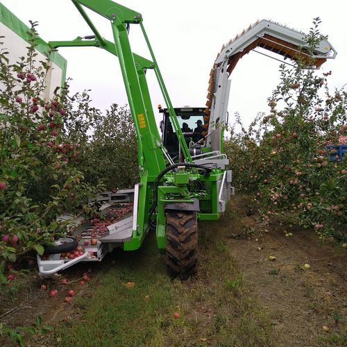 シェーク・アンド・キャッチ収穫機収穫機 - OE4.4 - FEUCHT Obsttechnik GmbH - 果物用 / 梅用 / 柑橘類
